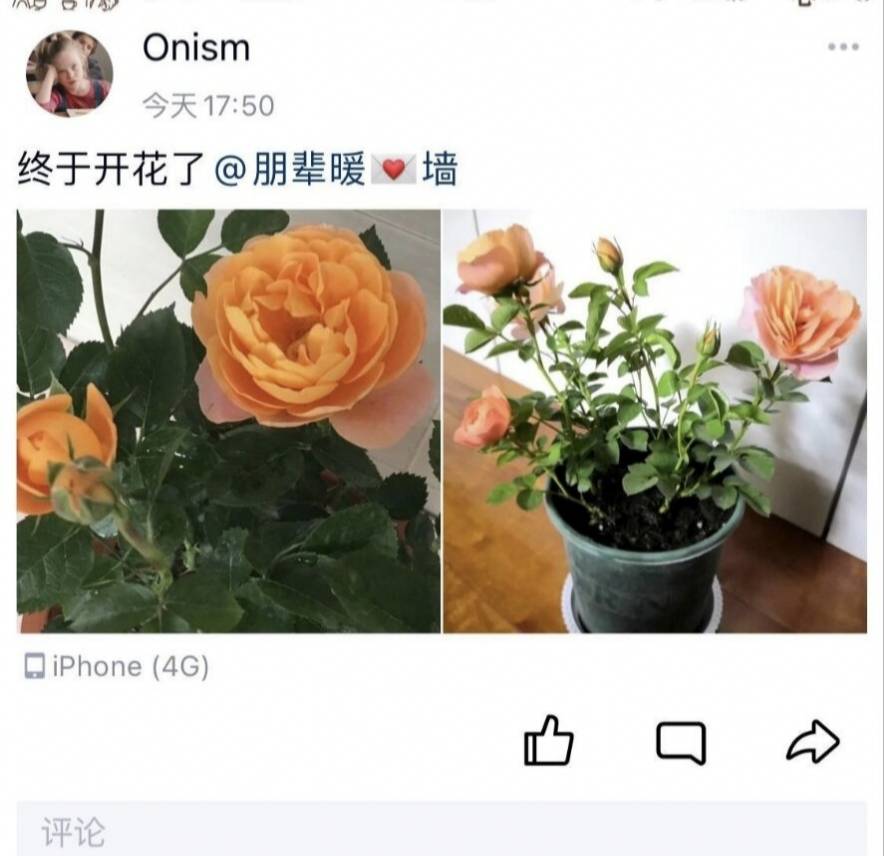 QQ图片20220523132649.jpg